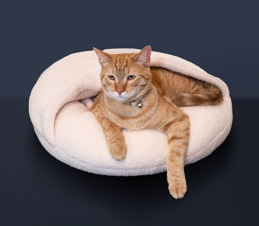 Boucle Pet Bed with Attached Cover – Cloud White
