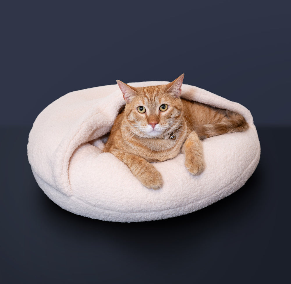 Boucle Pet Bed with Attached Cover – Cloud White