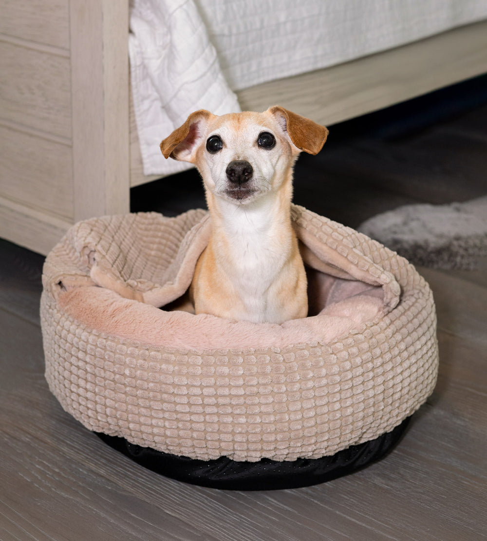 Jacquard Pet Bed with Attached Cover – Oatmeal Glow