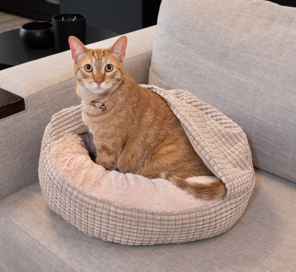 Jacquard Pet Bed with Attached Cover – Oatmeal Glow