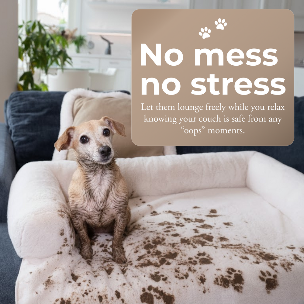 Waterproof Couch Cover for Pets - Ivory