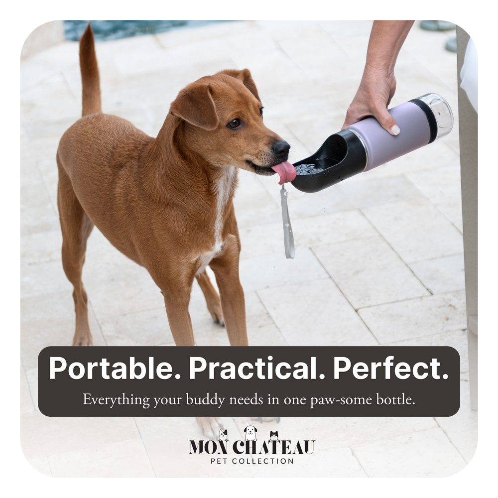 14oz Portable Dog Water Bottle with 4oz Snack Storage - White