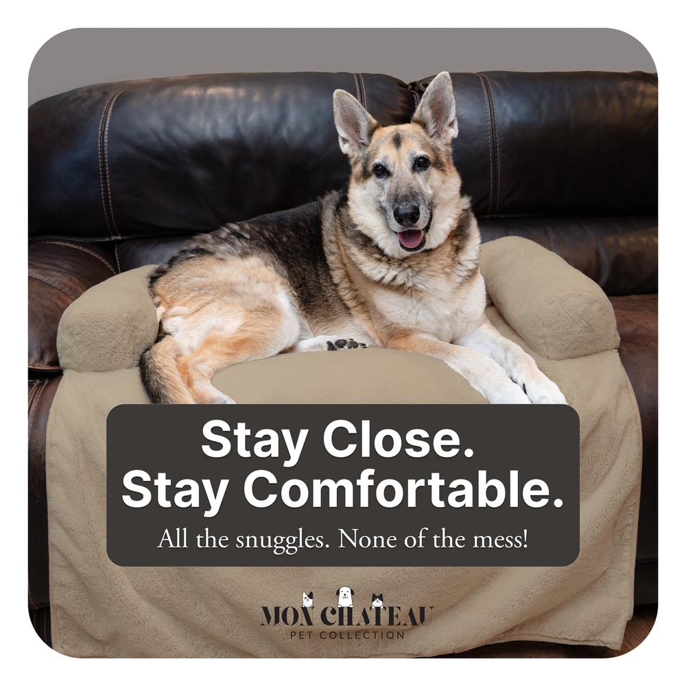 Waterproof Couch Cover for Pets - Taupe