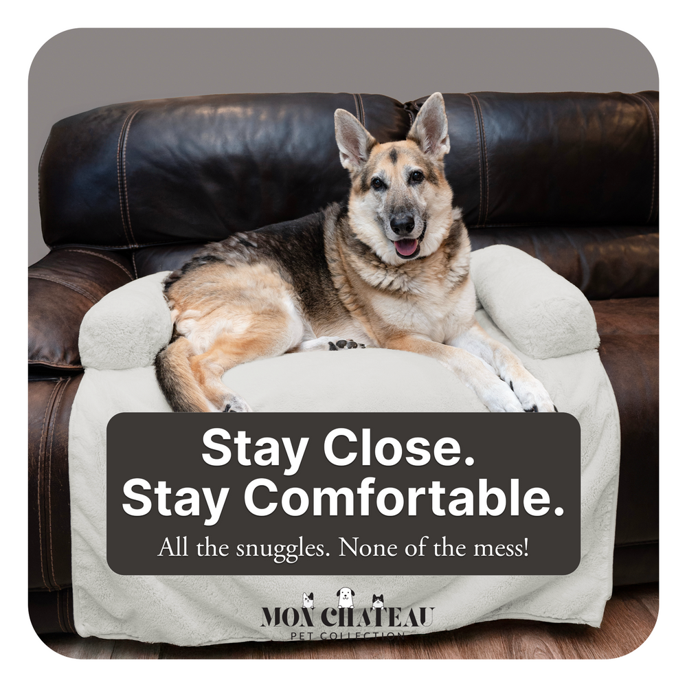 Waterproof Couch Cover for Pets - Ivory