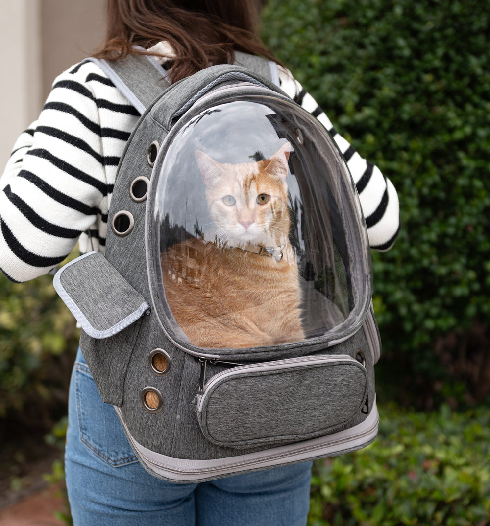 Backpack Carrier