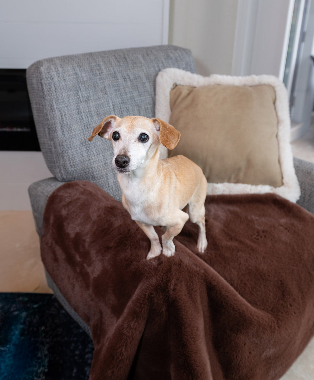 Faux Fur Pet Throw