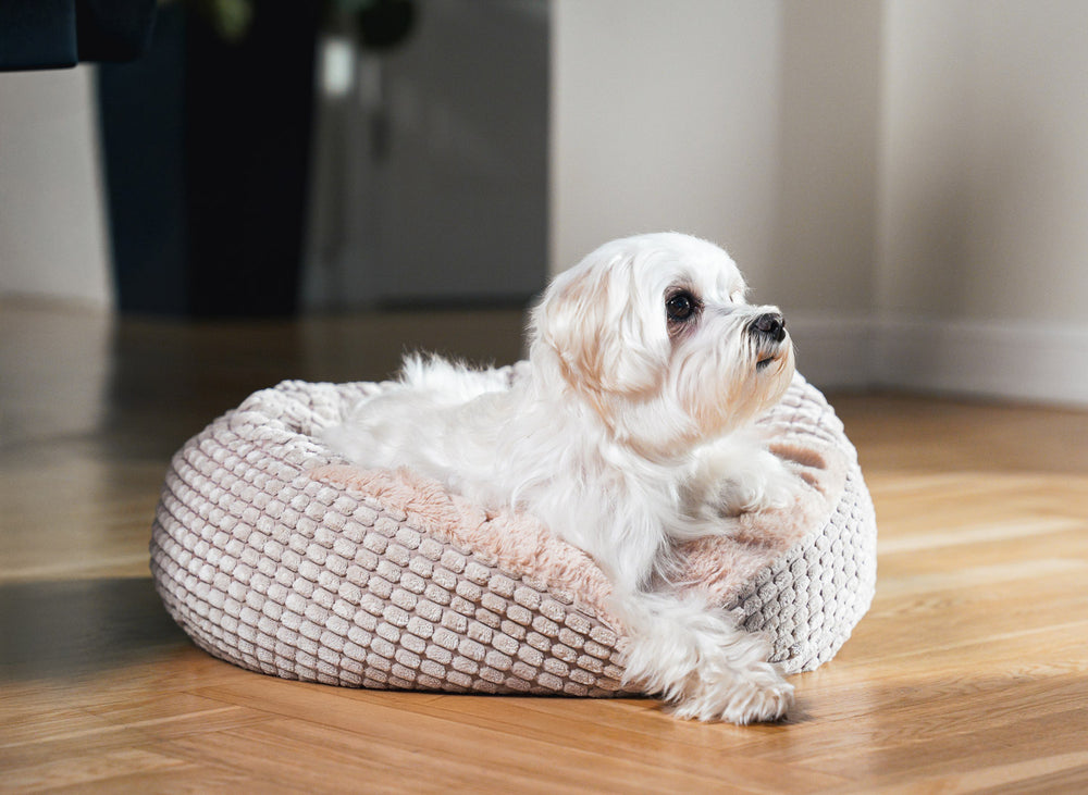 Jacquard Pet Bed with attached cover – Beige