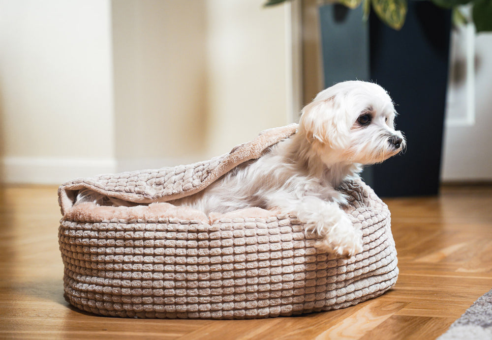 Jacquard Pet Bed with attached cover – Beige