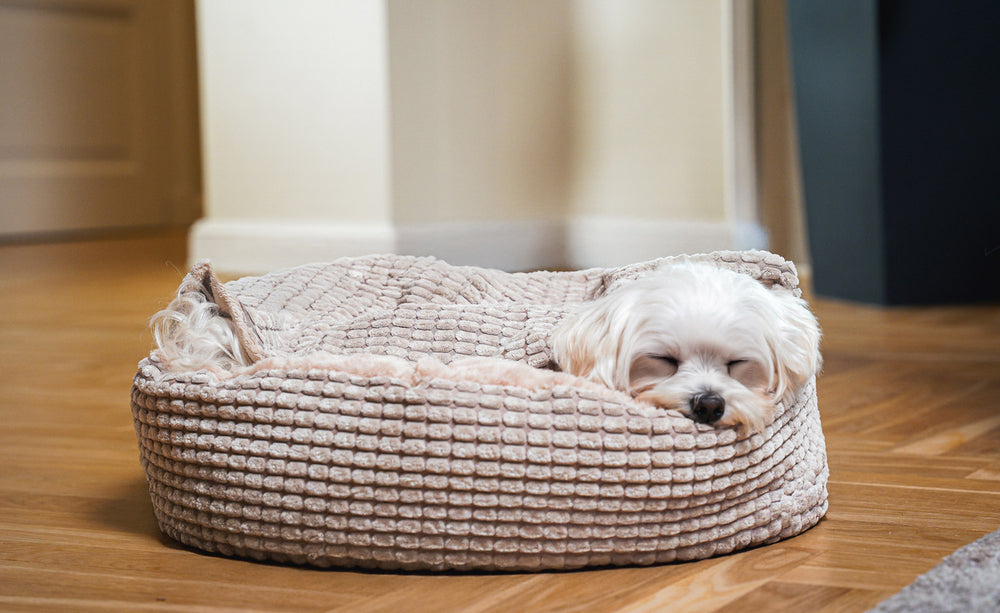 Jacquard Pet Bed with attached cover – Beige