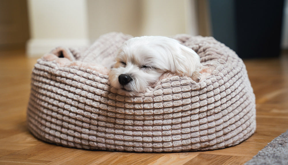 Jacquard Pet Bed with attached cover – Beige