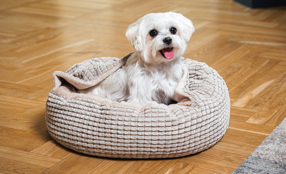 Jacquard Pet Bed with attached cover – Beige