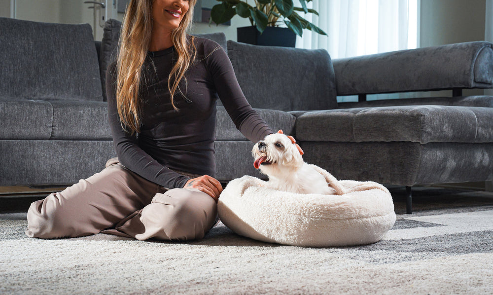 Boucle Pet Bed with attached cover – ivory