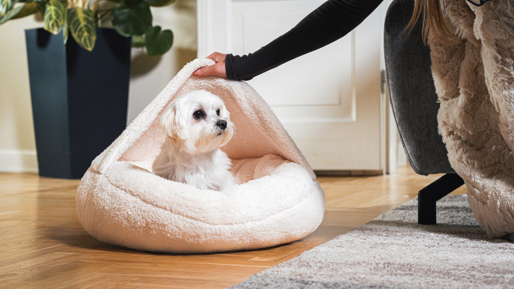 Boucle Pet Bed with attached cover – ivory