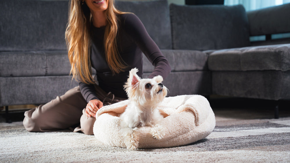 Boucle Pet Bed with attached cover – ivory