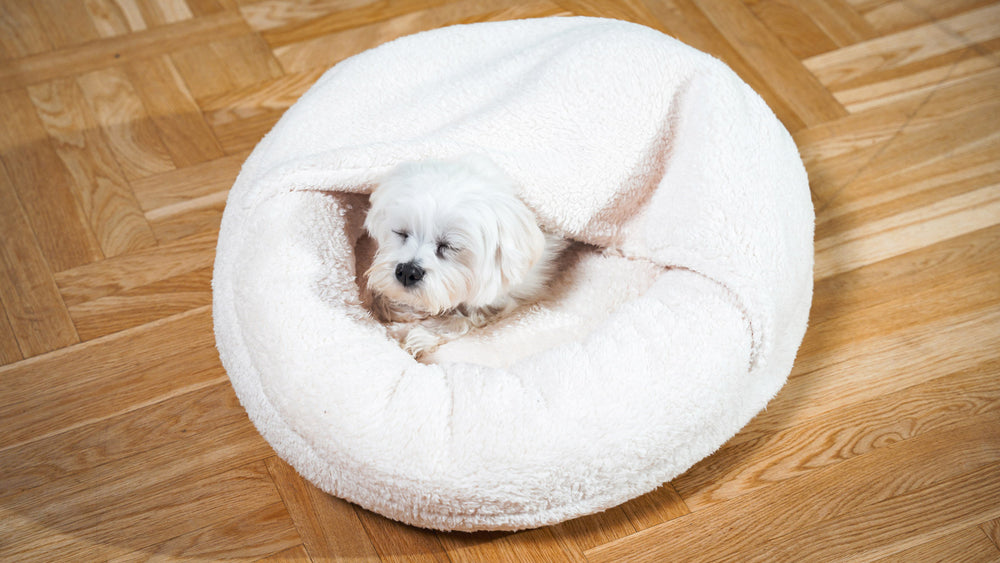 Boucle Pet Bed with attached cover – ivory
