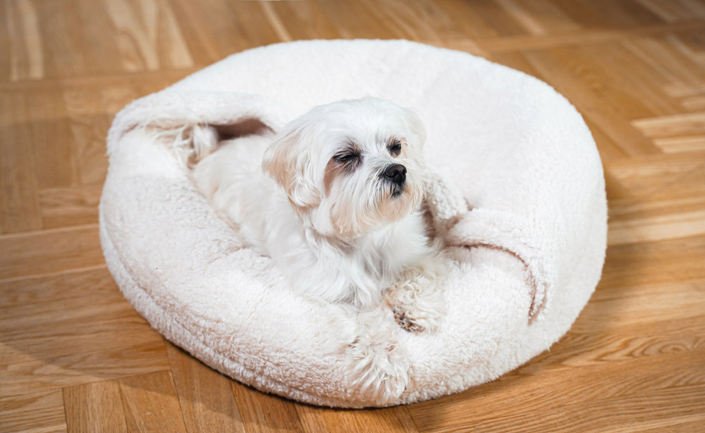Boucle Pet Bed with attached cover – ivory