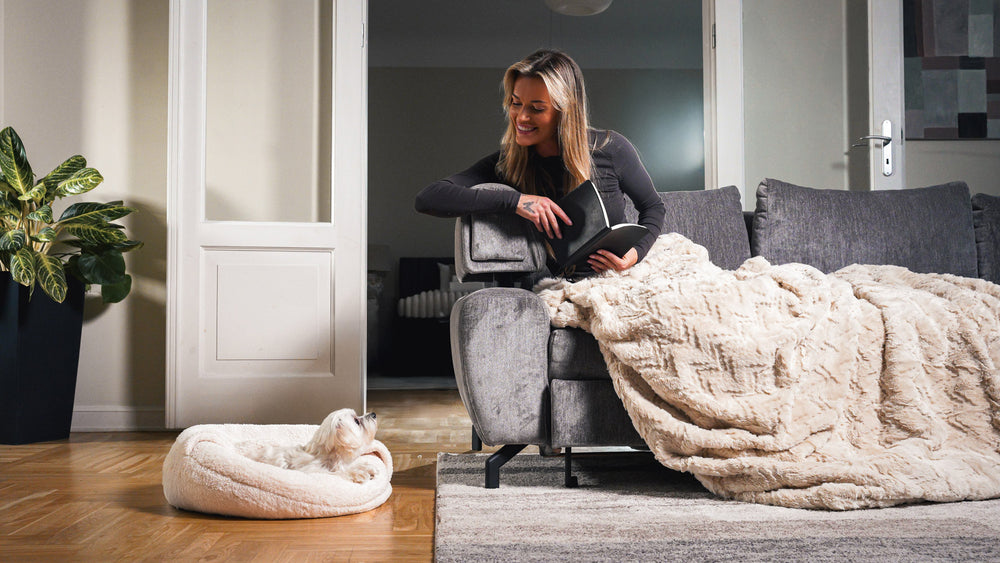 Boucle Pet Bed with attached cover – ivory